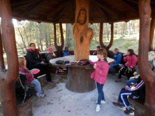 Fotografie 1571376598239_original.jpg