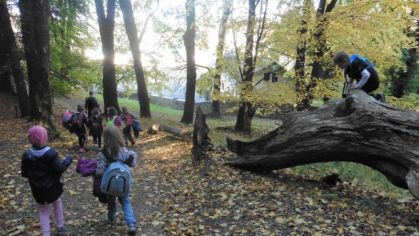 Fotografie 1571376598347_original.jpg