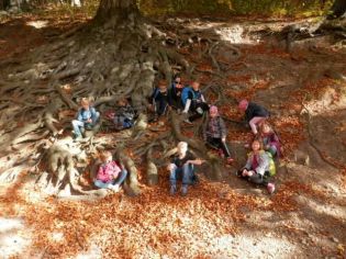 Fotografie 1571376628063_original.jpg