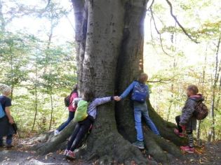 Fotografie 1571376628363_original.jpg