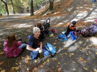 Fotografie 1571376628880_original.jpg