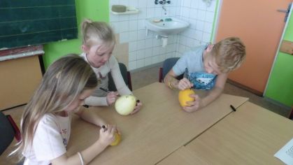 Fotografie 1572428109453_original.jpg