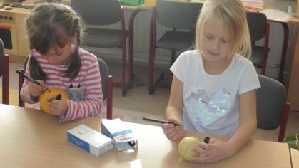 Fotografie 1572428110243_original.jpg