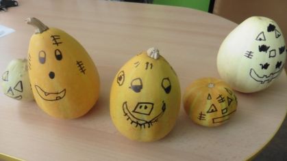 Fotografie 1572428110807_original.jpg