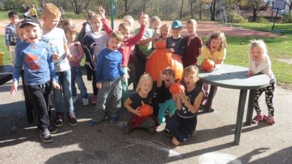 Fotografie 1572428156726_original.jpg