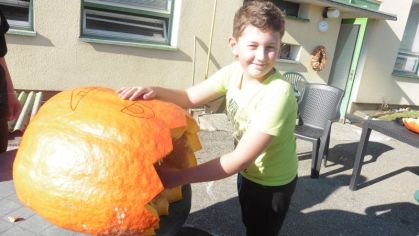 Fotografie 1572428157910_original.jpg