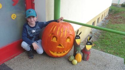 Fotografie 1572428188770_original.jpg