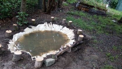 Fotografie 1592547867413_original.jpg