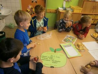 Fotografie 1601555424027_1_original.jpg