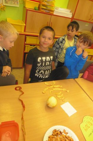 Fotografie 1570167504957_original.jpg