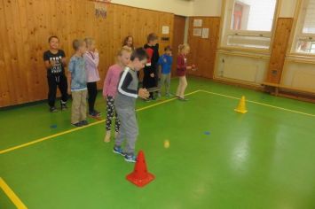 Fotografie 1570167505265_original.jpg