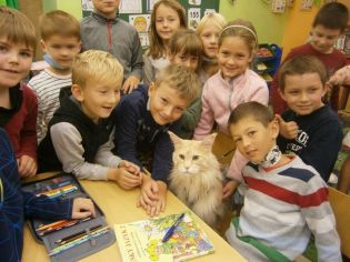 Fotografie 1603102797660_original.jpg