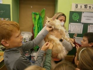 Fotografie 1603102798355_original.jpg