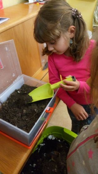 Fotografie 1590731664537_original.jpg