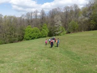 Fotografie 1621253769107_original.jpg