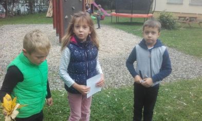 Fotografie 1570166719442_original.jpg