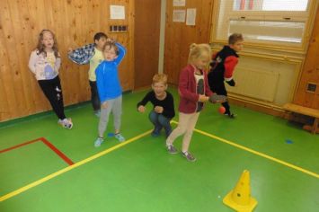 Fotografie 1570166720930_original.jpg