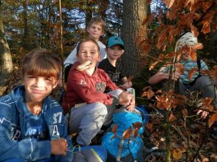 Fotografie 1571896927743_original.jpg