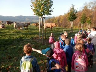 Fotografie 1571896927761_original.jpg