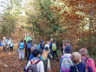 Fotografie 1571897011625_original.jpg