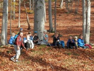 Fotografie 1571897012915_original.jpg