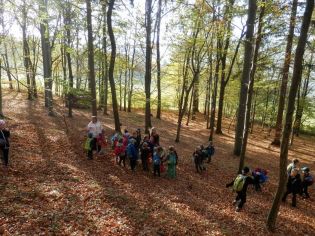 Fotografie 1571897048784_original.jpg