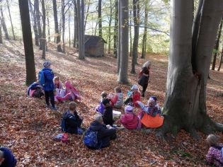 Fotografie 1571897048891_original.jpg