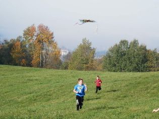 Fotografie 1571897084030_original.jpg