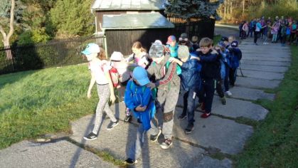 Fotografie 1572428313995_original.jpg