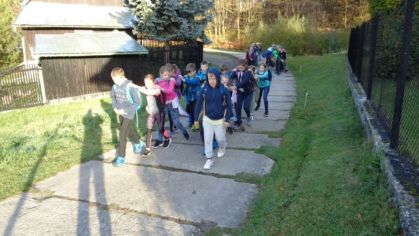 Fotografie 1572428314209_original.jpg