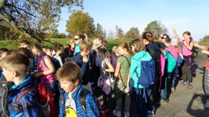 Fotografie 1572428401256_original.jpg