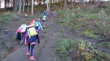 Fotografie 1572428403995_original.jpg