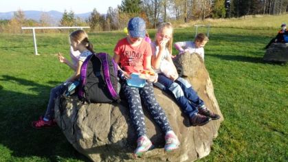 Fotografie 1572428404215_original.jpg