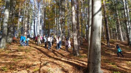 Fotografie 1572428530586_original.jpg