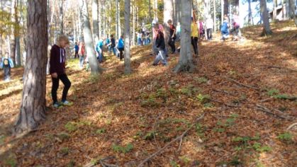 Fotografie 1572428530613_original.jpg