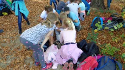 Fotografie 1572428531156_original.jpg