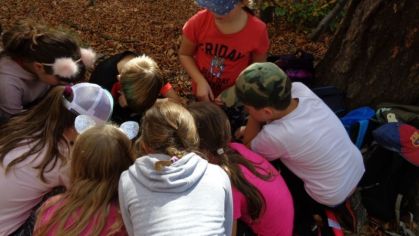 Fotografie 1572428531601_original.jpg