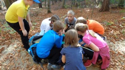 Fotografie 1572428532829_original.jpg