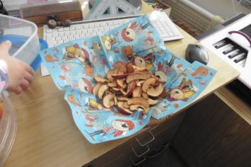 Fotografie 1571044878350_original.jpg