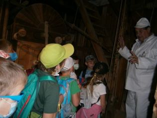 Fotografie 1624524071248_original.jpg