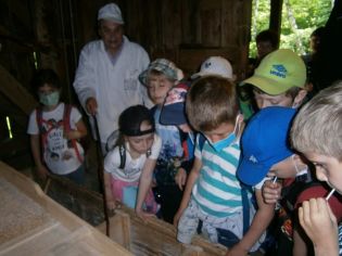 Fotografie 1624524078793_original.jpg