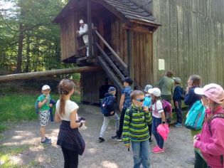 Fotografie 1624539306062_original.jpg