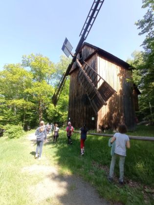 Fotografie 1624539307252_original.jpg