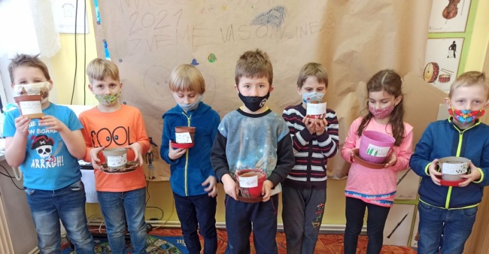 Sázení semínek luštěnin a zalévání vypěstovaných bylinek