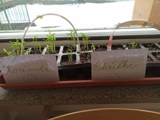 Fotografie 1614346734120_original.jpg