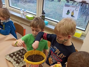 Foto k aktualitě Sázení semínek