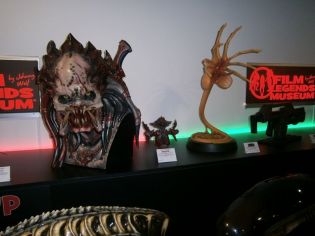 Fotografie 1624525103647_original.jpg