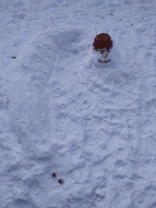 Fotografie 1611152603609_original.jpg