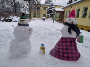 Fotografie 1611152618149_original.jpg