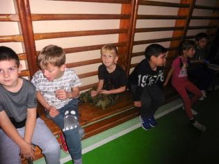 Fotografie 1573114447979_original.jpg